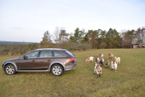 Audi A4 3,0 TDI clean diesel allroad quattro - Fanaticar Magazin