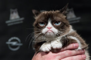 Grumpy | Fanaticar Magazin