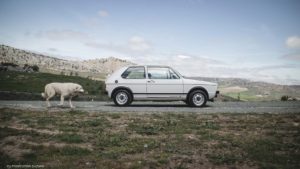 1976 Golf GTI - Fanaticar Magazin