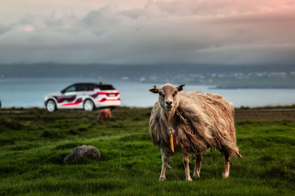 New Audi Q6 e-tron Prototyp | Fanaticar Magazin