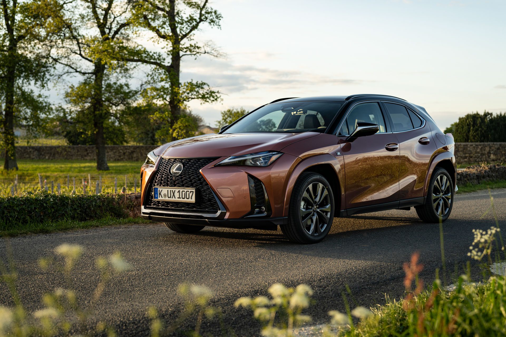 2025 Lexus UX 300h E-Four F-Sport | Fanatiar Magazin