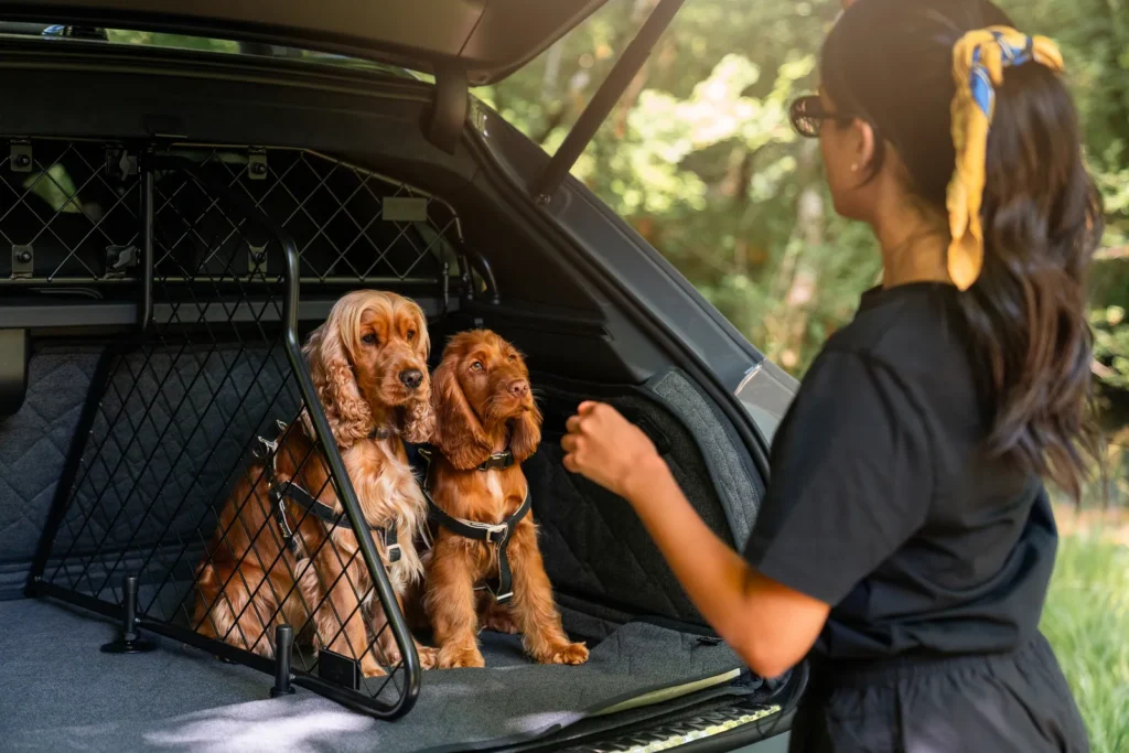 Bentley Bentayga Pet Accessory