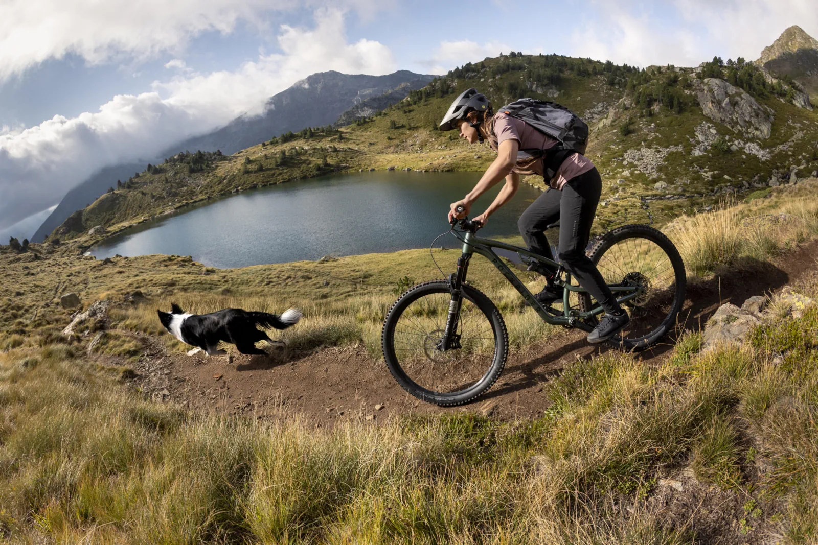 ROCKRIDER Defense Bag